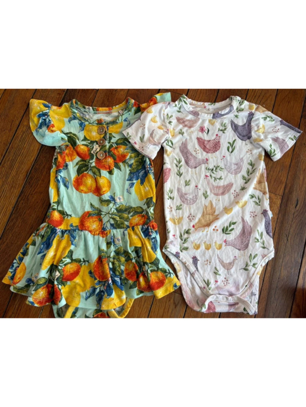 12/18M Posh Peanut Baby Girls Bamboo Bodysuit & Dress Bundle